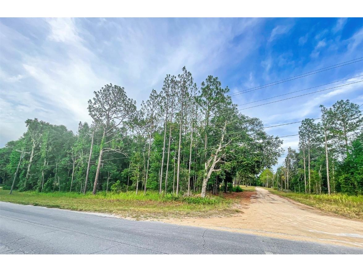 10551 NE 117th Lane Archer FL 32618 GC523303 image1