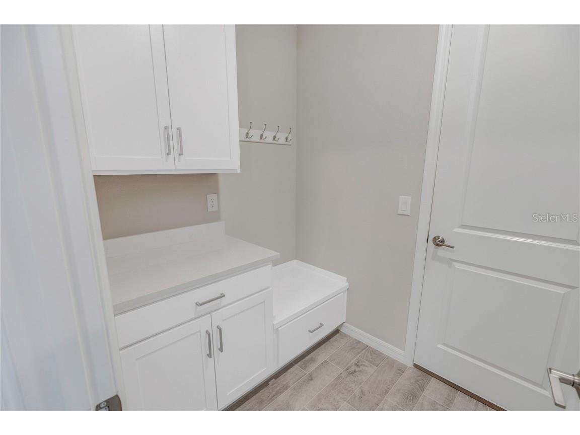 10551 Tranquil Meadow Loop Riverview FL 33569 TB8456160 image10