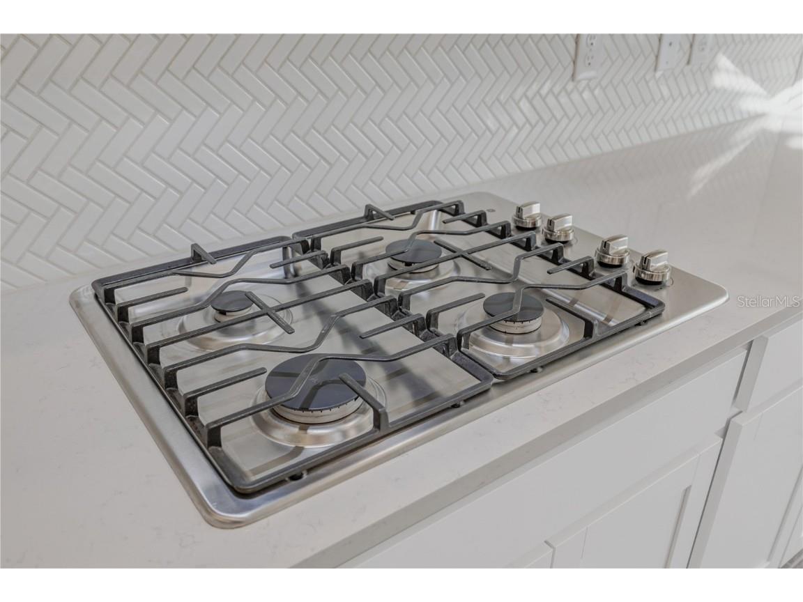 10551 Tranquil Meadow Loop Riverview FL 33569 TB8456160 image25