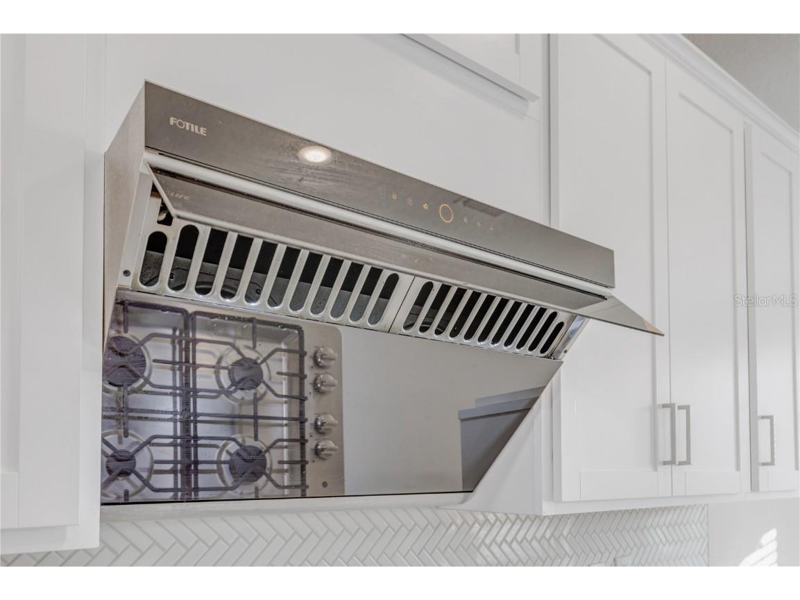 10551 Tranquil Meadow Loop Riverview FL 33569 TB8456160 image26