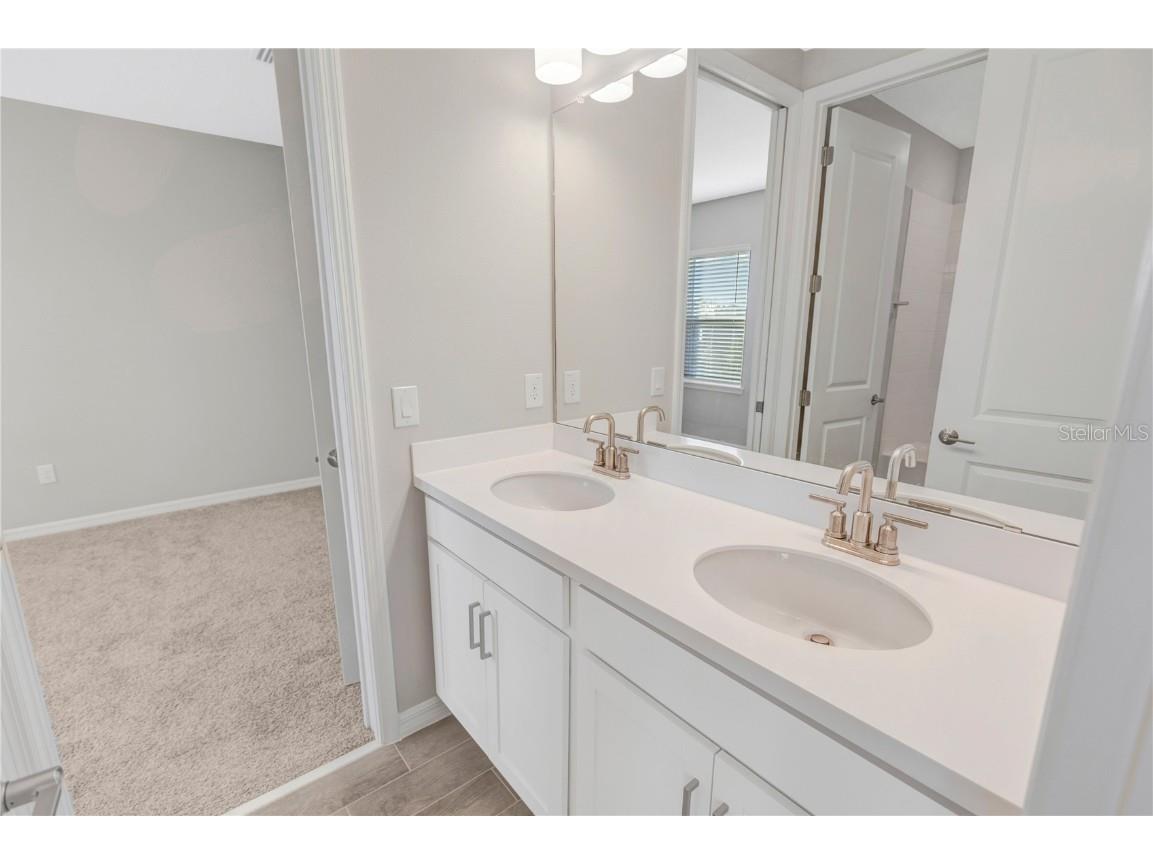 10551 Tranquil Meadow Loop Riverview FL 33569 TB8456160 image40