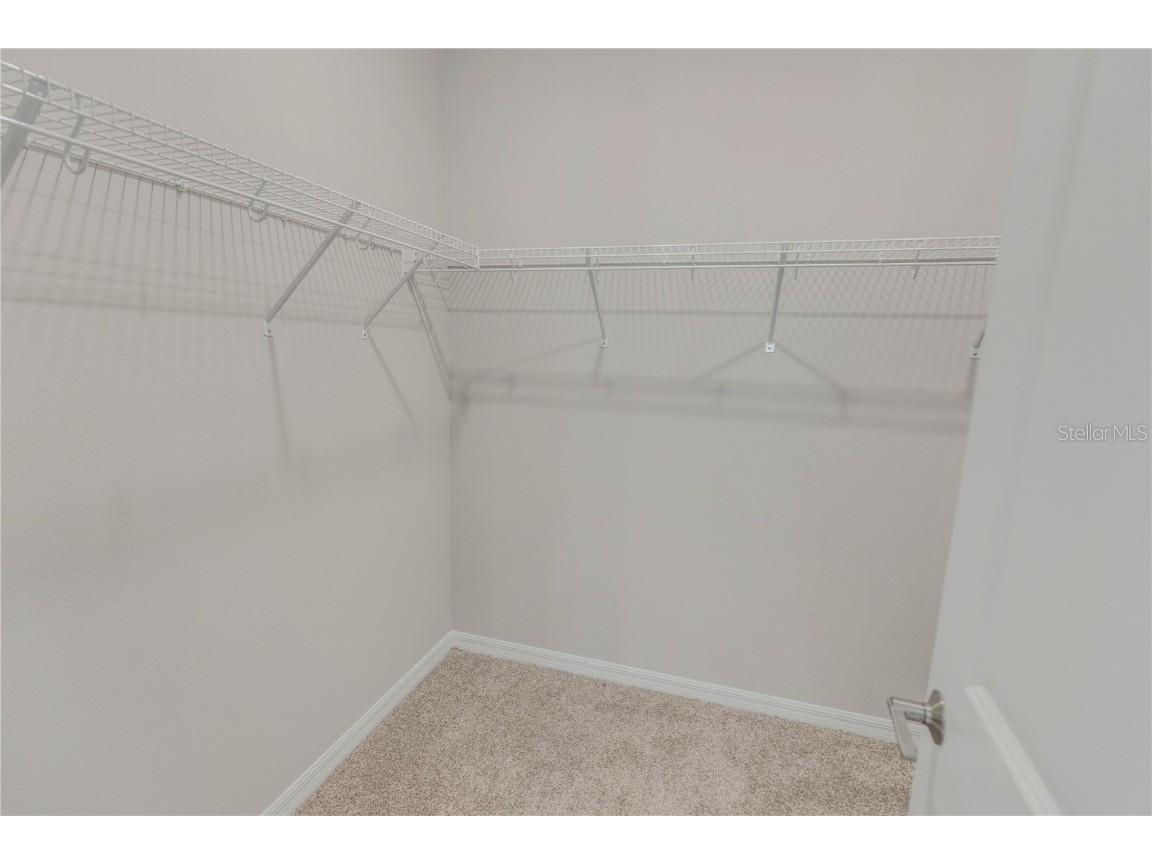 10551 Tranquil Meadow Loop Riverview FL 33569 TB8456160 image56