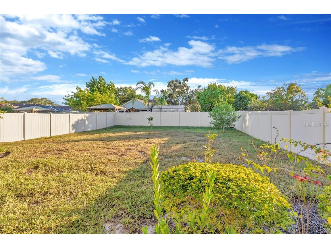 10551 Tranquil Meadow Loop Riverview FL 33569 TB8456160 image59