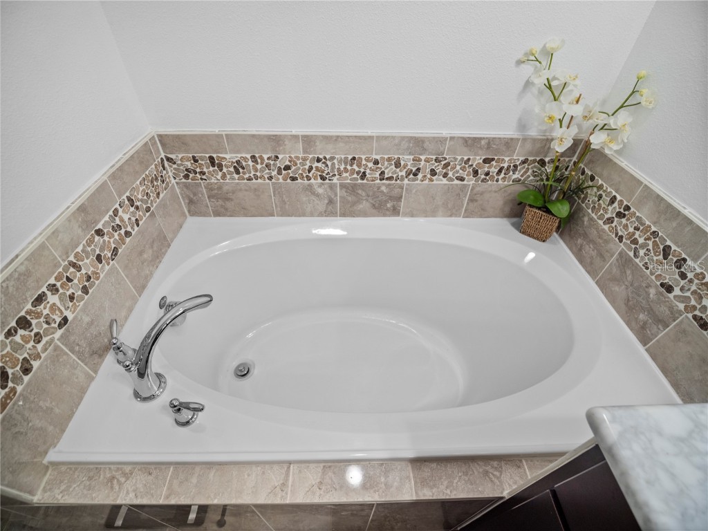 10552 Belfry Circle Orlando FL 32832 O6361771 image21