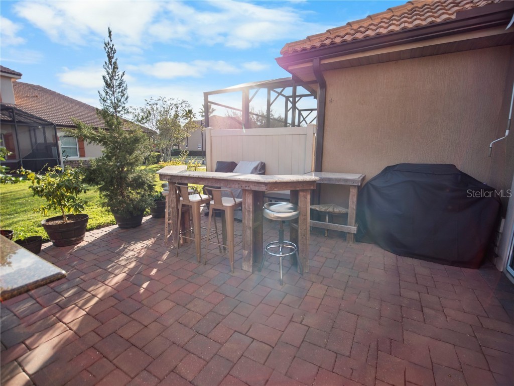 10552 Belfry Circle Orlando FL 32832 O6361771 image30