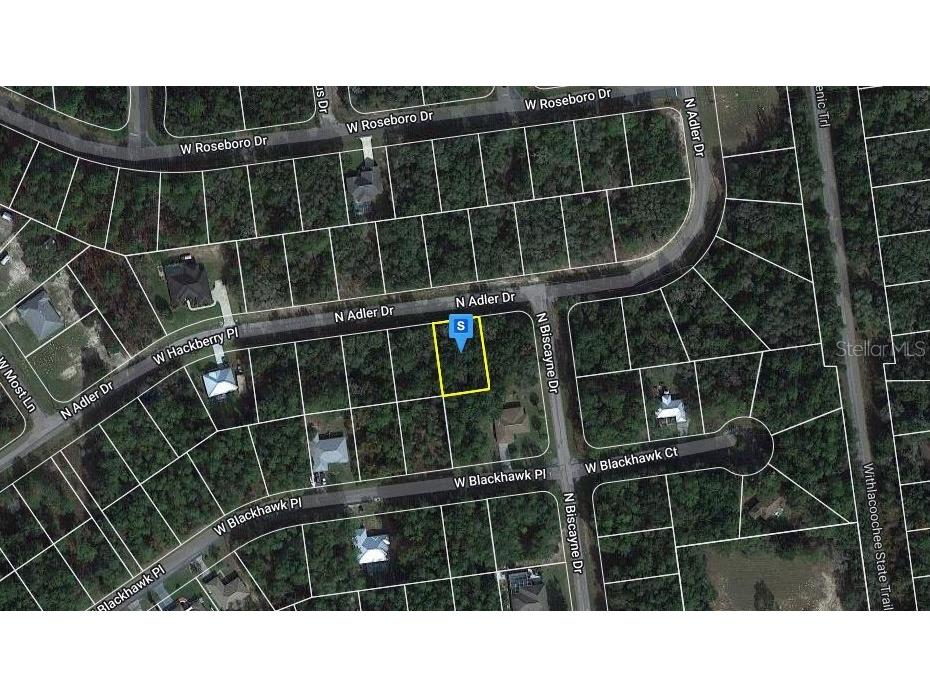 10553 N Adler Drive Citrus Springs FL 34434 A4556845 image1