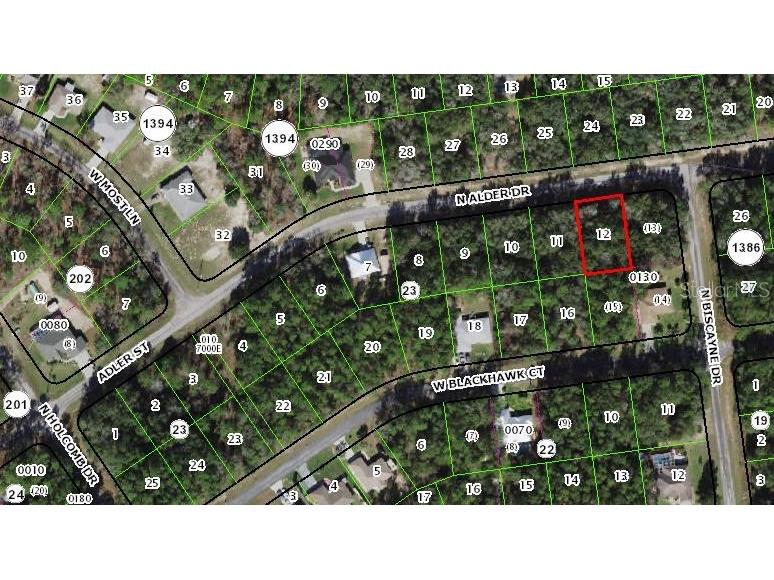 10553 N Adler Drive Citrus Springs FL 34434 OM655514 image1