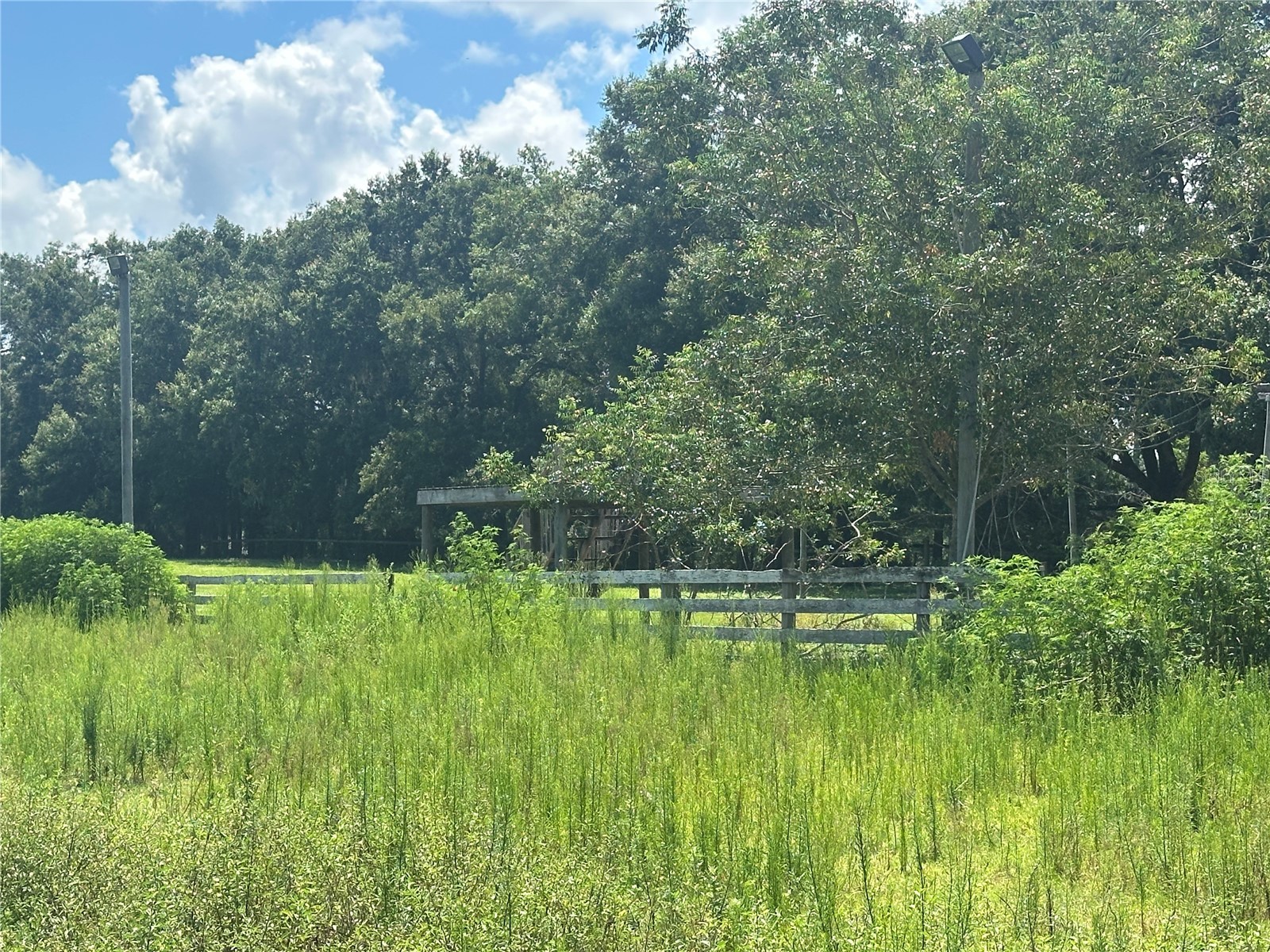 10553 NE 36th Avenue Anthony FL 32617 L4960181 image1
