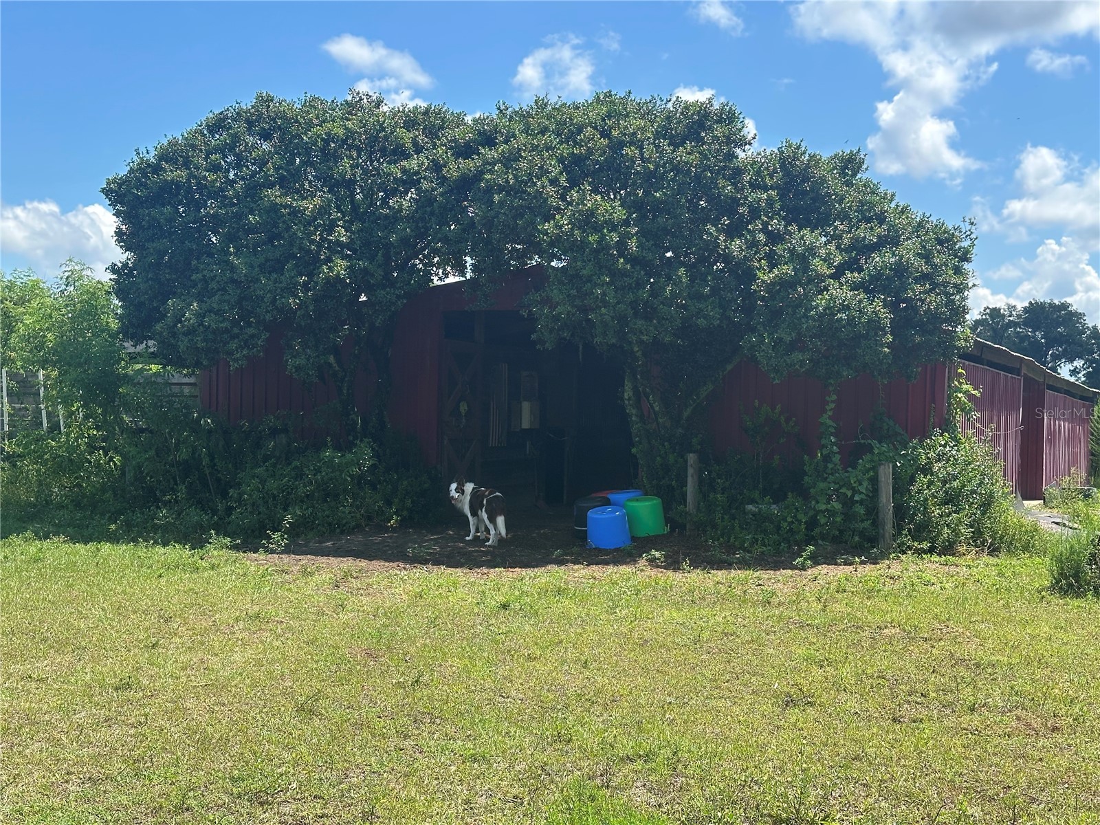 10553 NE 36th Avenue Anthony FL 32617 L4960181 image2