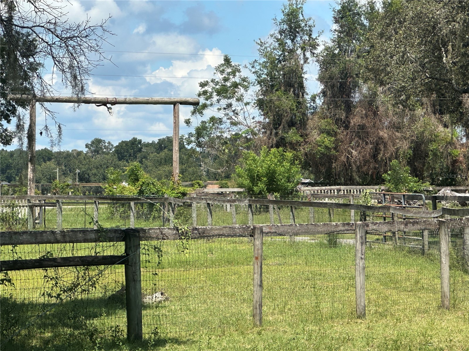 10553 NE 36th Avenue Anthony FL 32617 L4960181 image4