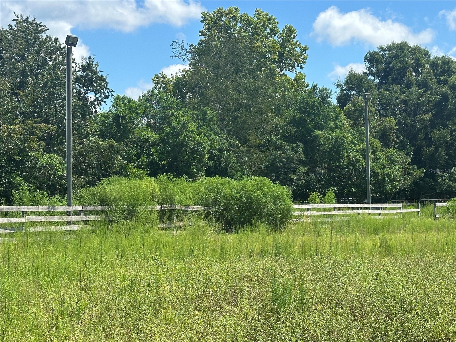 10553 NE 36th Avenue Anthony FL 32617 L4960181 image6