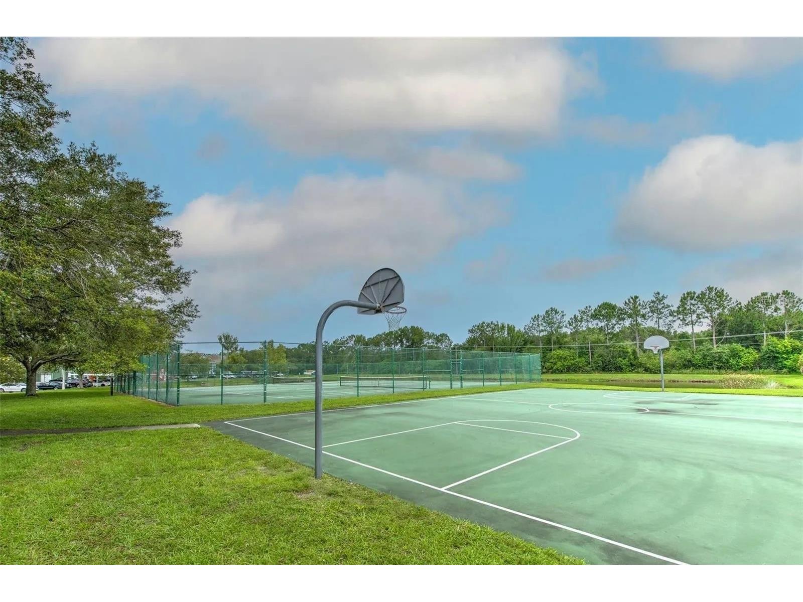 10554 White Lake Court Tampa FL 33626 TB8523955 image13
