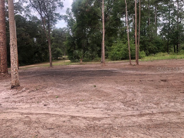 10555 NE 152nd Place Fort Mc Coy FL 32134 OM702845 image44