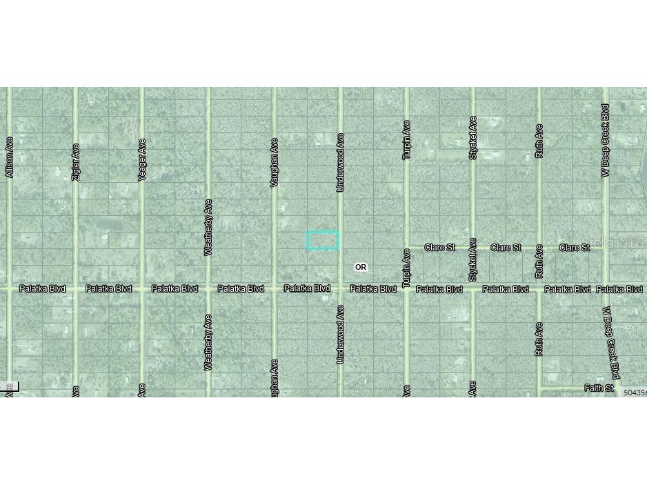 10555 Underwood Avenue Hastings FL 32145 FC308625 image3