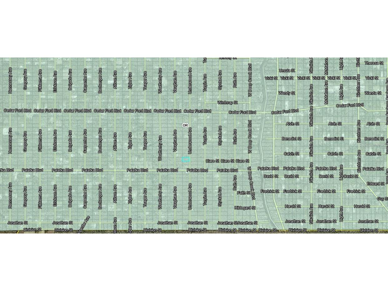 10555 Underwood Avenue Hastings FL 32145 FC308625 image4