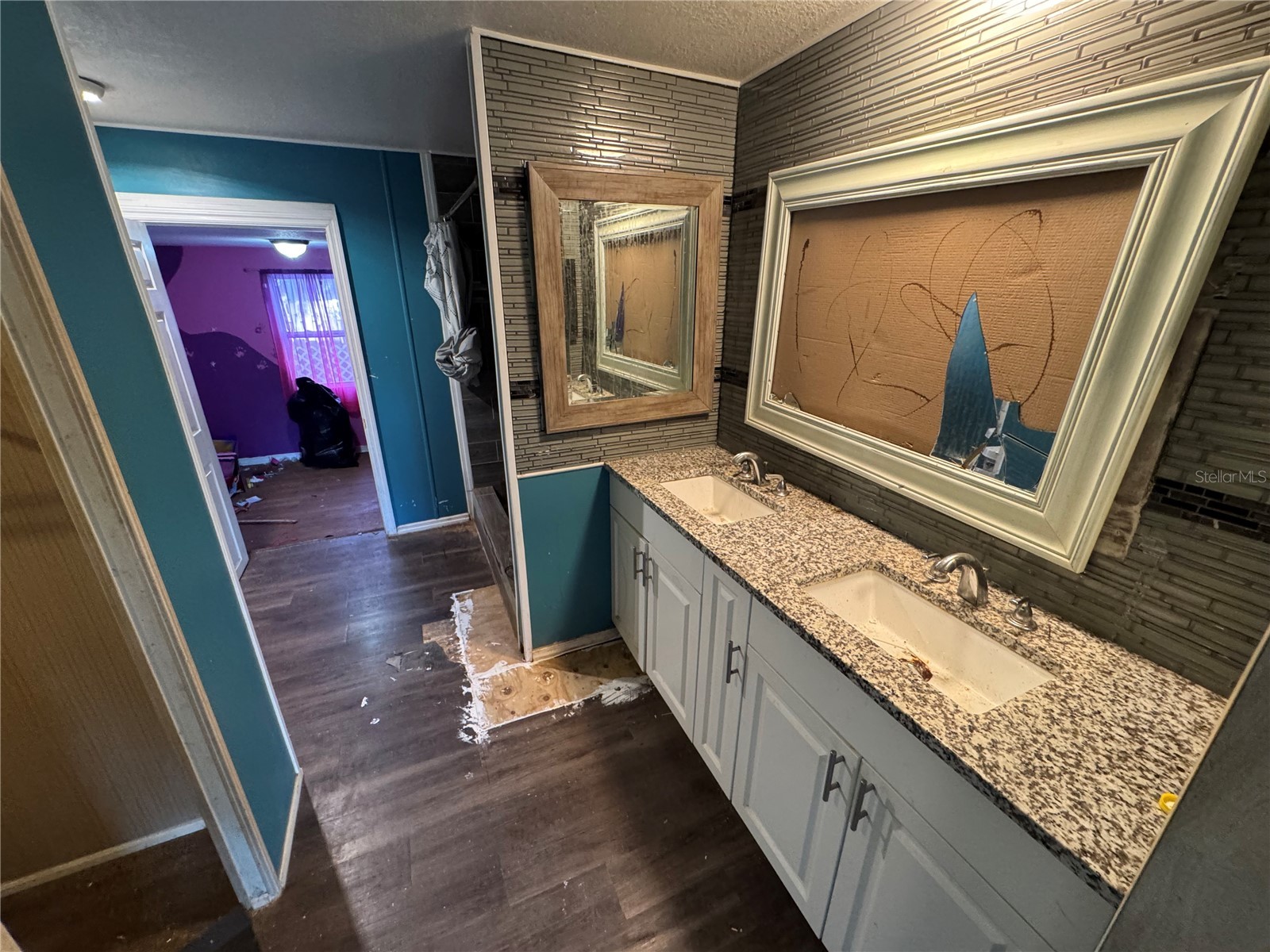 10559 Bay Hills Circle Thonotosassa FL 33592 O6376774 image6