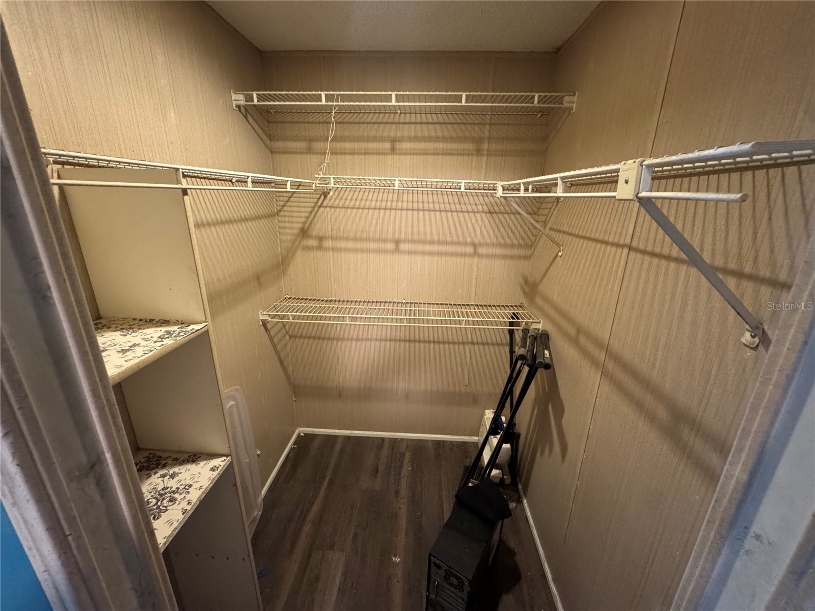 10559 Bay Hills Circle Thonotosassa FL 33592 O6376774 image7