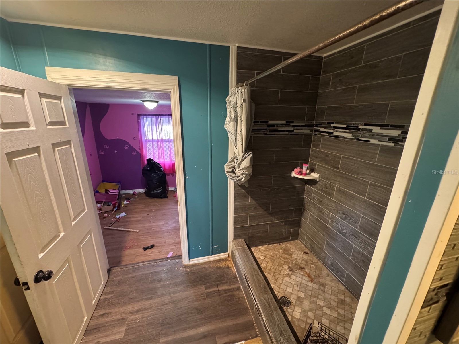 10559 Bay Hills Circle Thonotosassa FL 33592 O6376774 image8