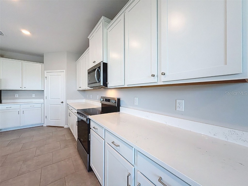 10559 Bridgegate Heights Loop San Antonio FL 33576 TB8458829 image21