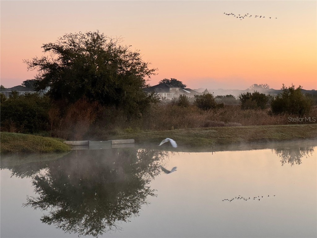 10559 Bridgegate Heights Loop San Antonio FL 33576 TB8458829 image63