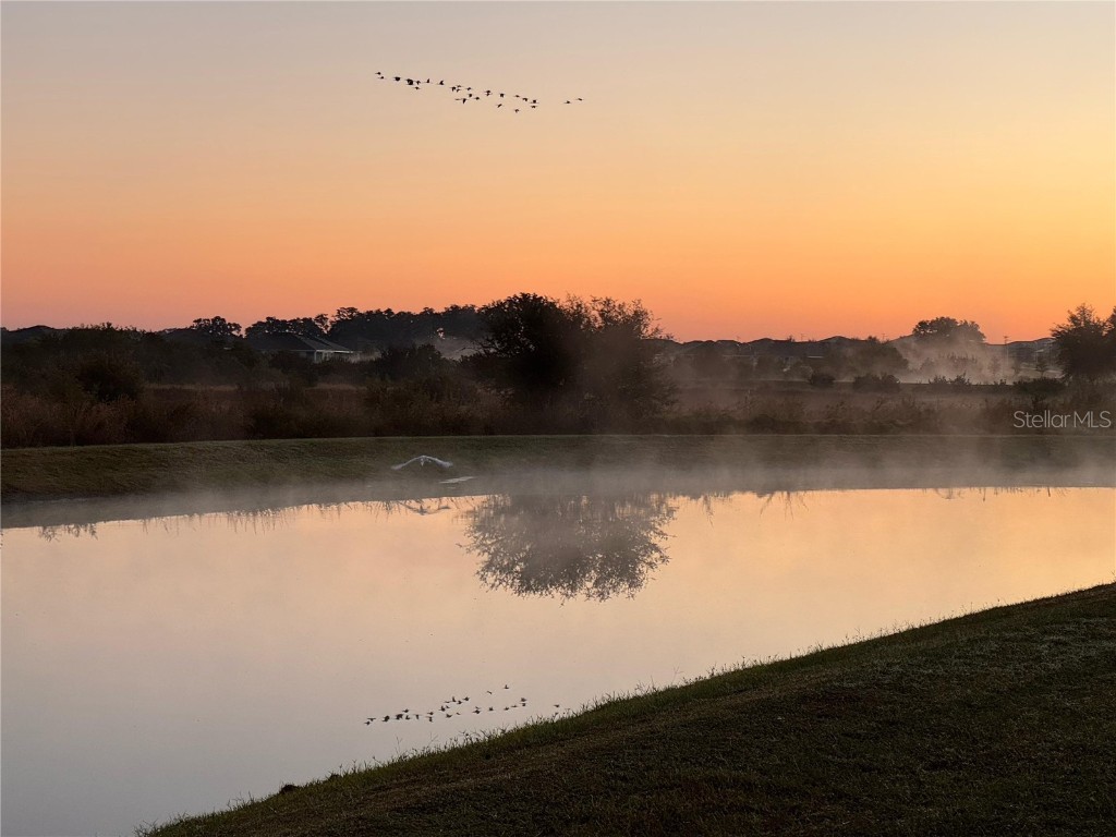 10559 Bridgegate Heights Loop San Antonio FL 33576 TB8458829 image64