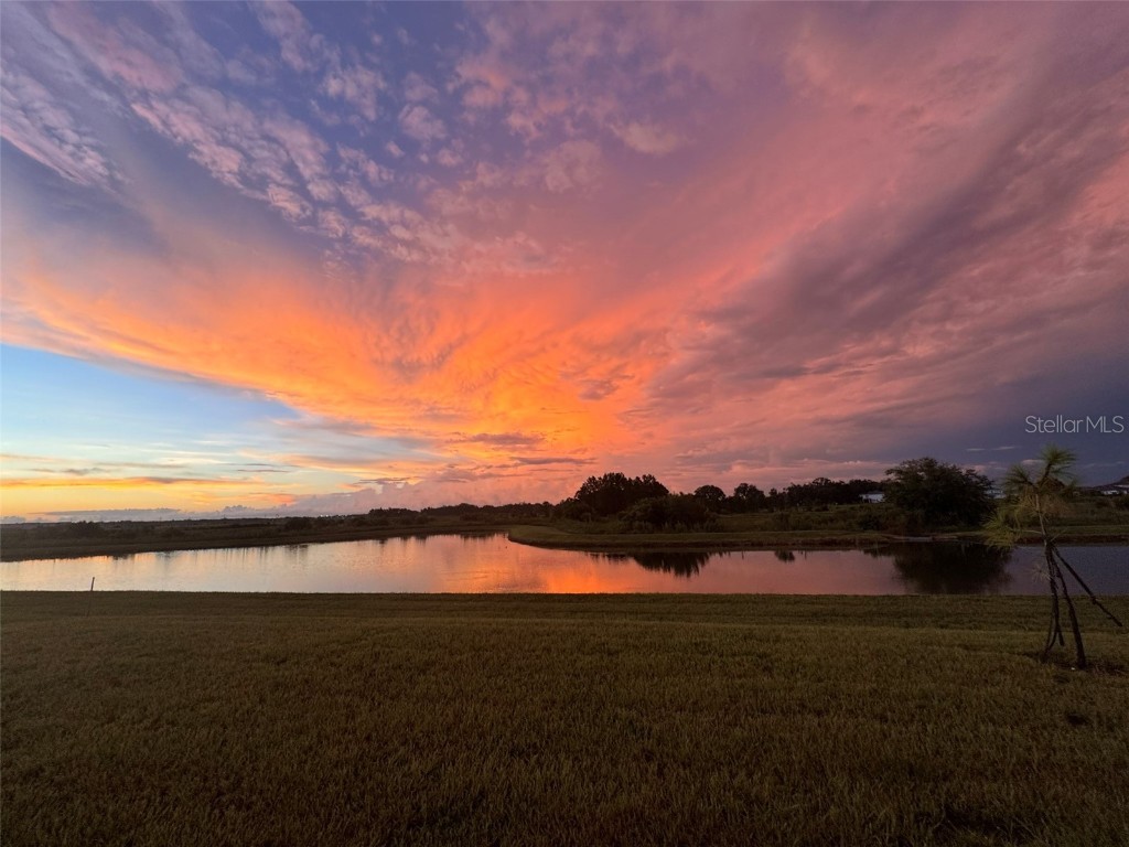 10559 Bridgegate Heights Loop San Antonio FL 33576 TB8458829 image66