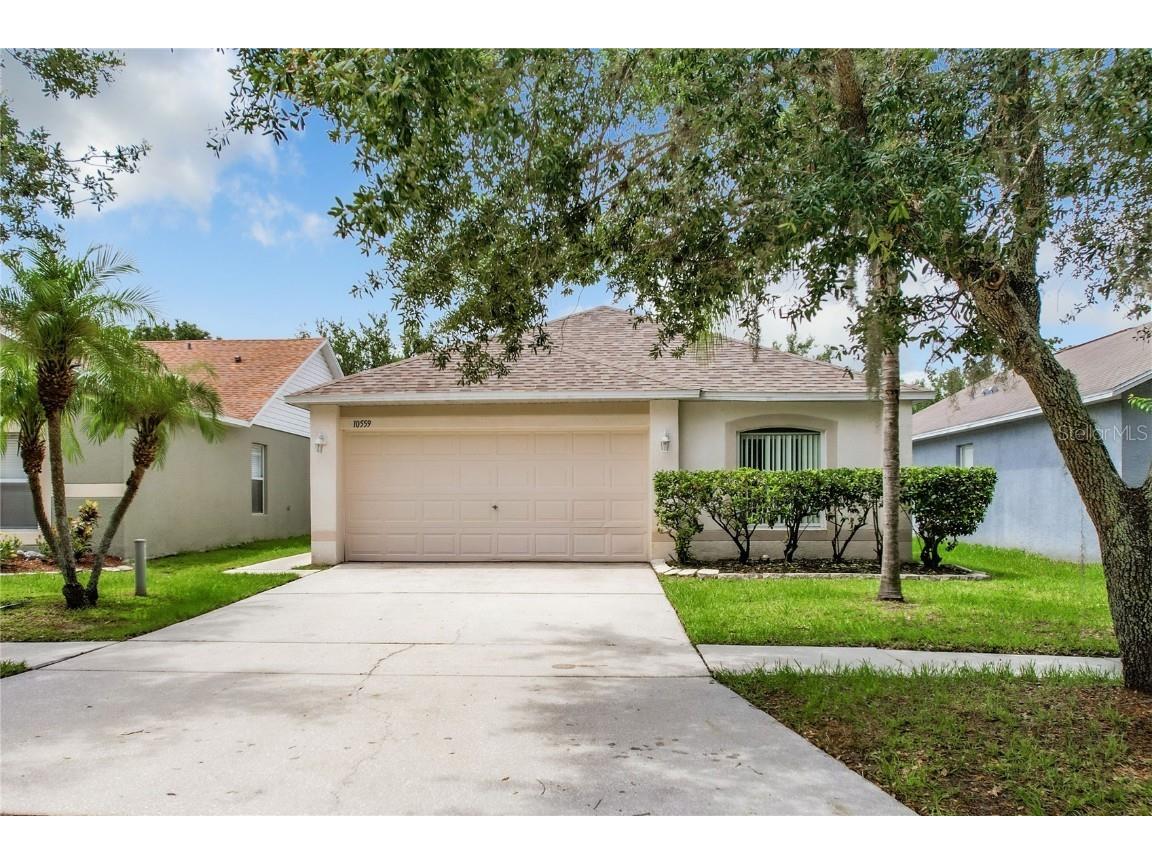 10559 Opus Drive Riverview FL 33579 T3454379 image1