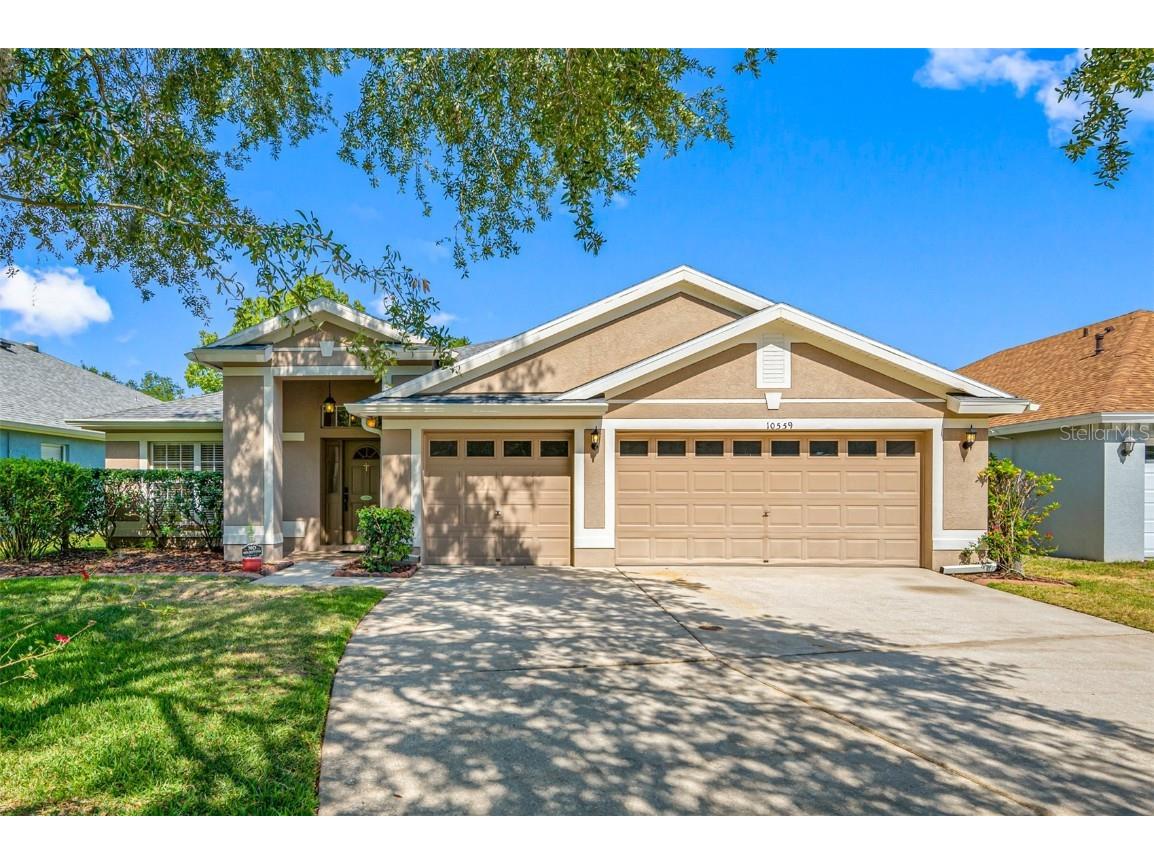 10559 San Travaso Drive Tampa FL 33647 T3524874 image1