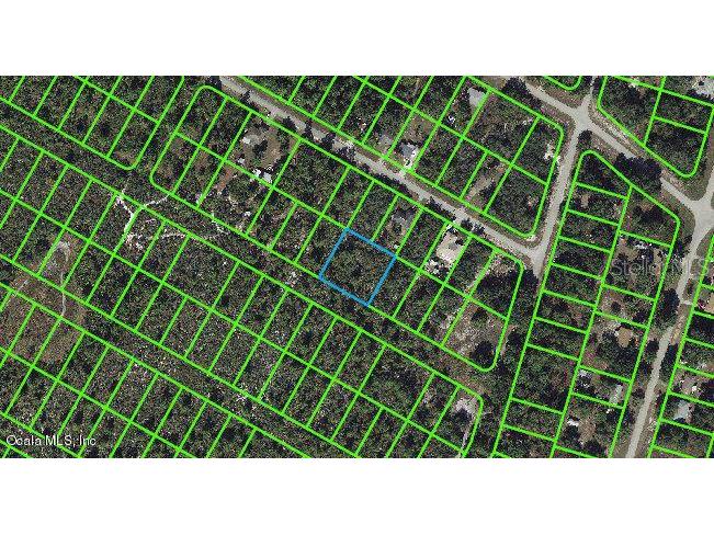 1056 Freehill Avenue Lake Placid FL 33852 OM543116 image1
