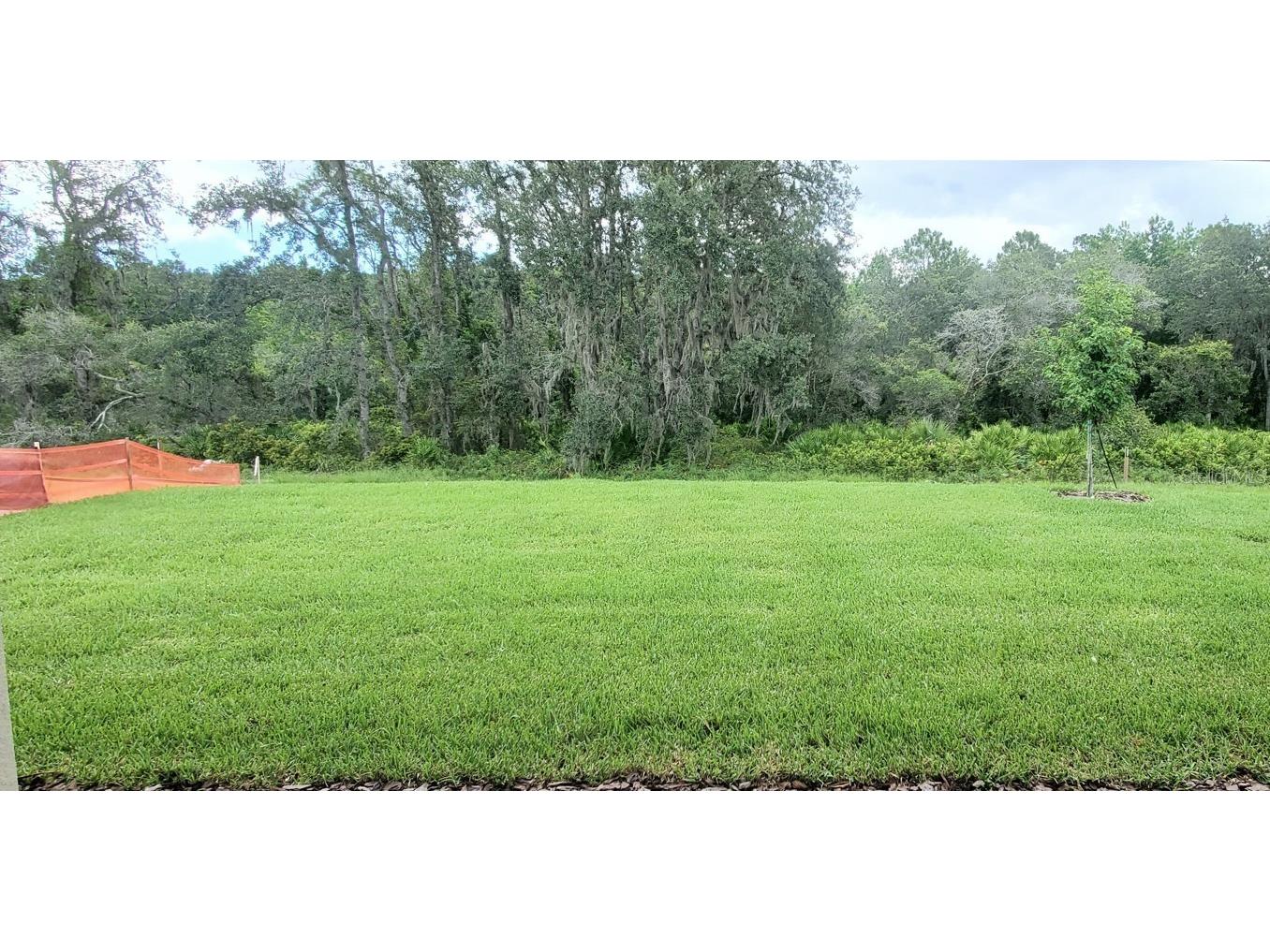 1056 Morfontain Street Daytona Beach FL 32124 O6350896 image5