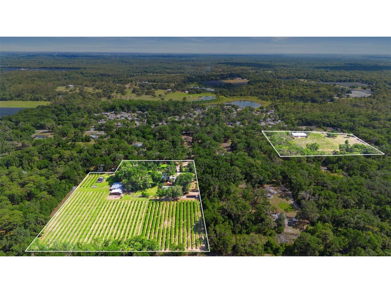 1056 Reynolds Road De Leon Springs FL 32130 V4942965 image1