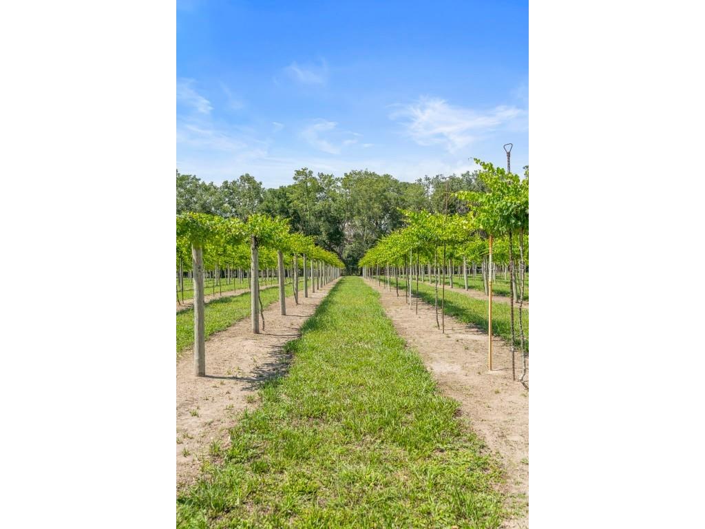 1056 Reynolds Road De Leon Springs FL 32130 V4942965 image42