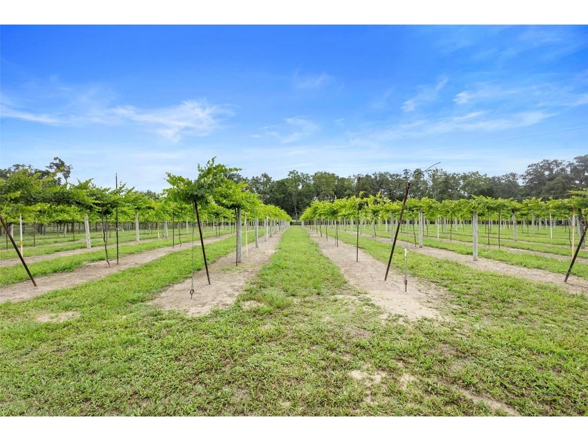 1056 Reynolds Road De Leon Springs FL 32130 V4942965 image43