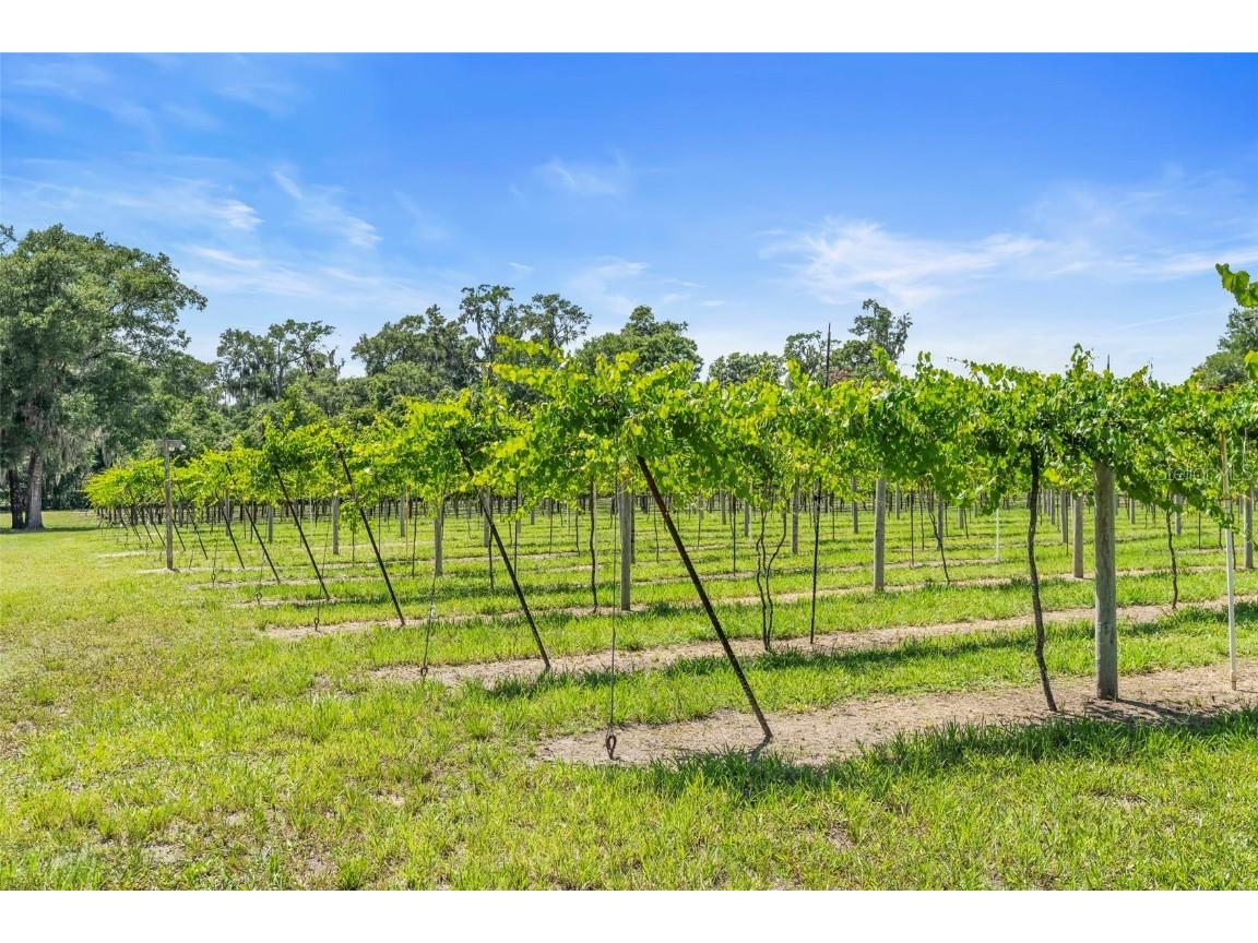 1056 Reynolds Road De Leon Springs FL 32130 V4942965 image44