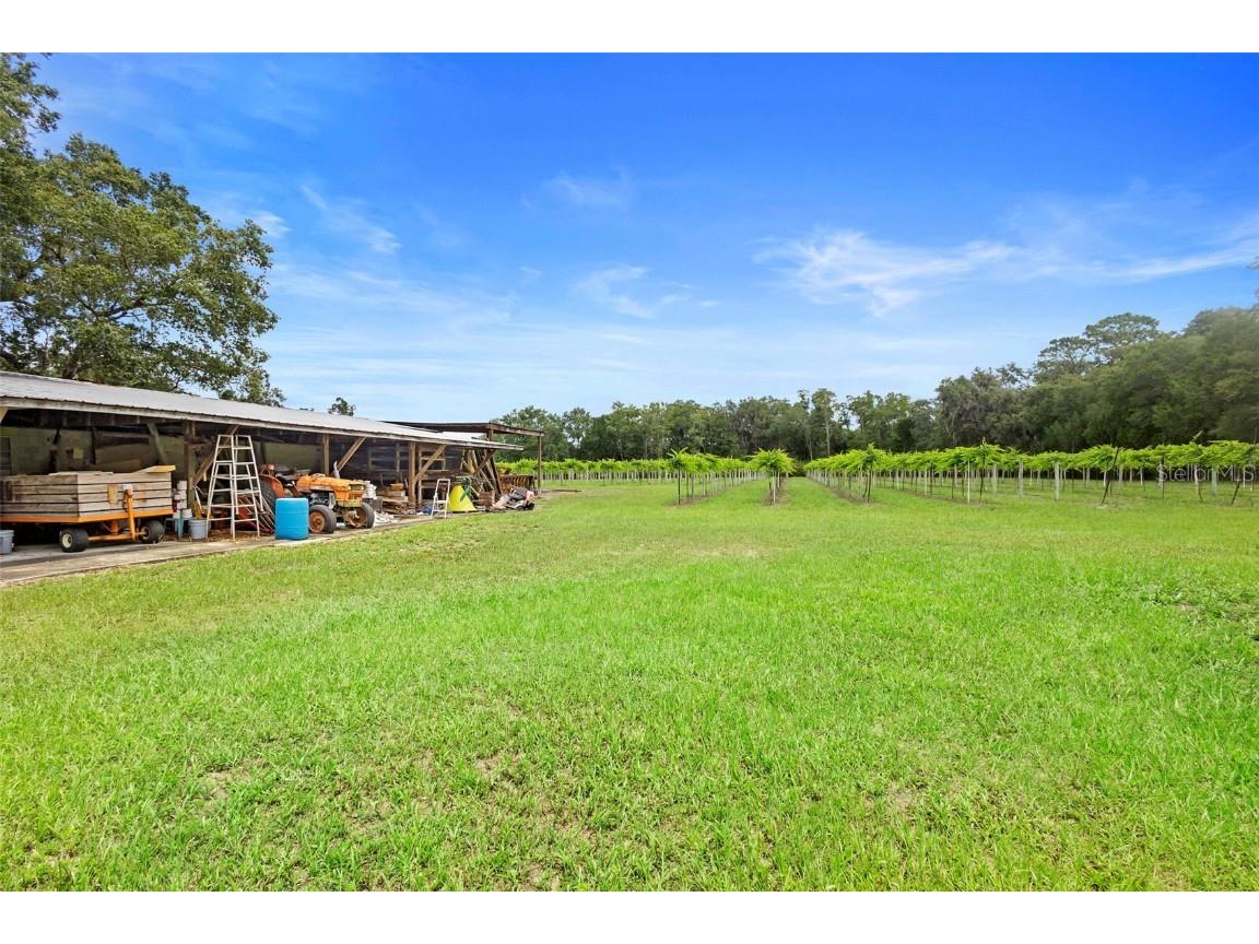 1056 Reynolds Road De Leon Springs FL 32130 V4942965 image46