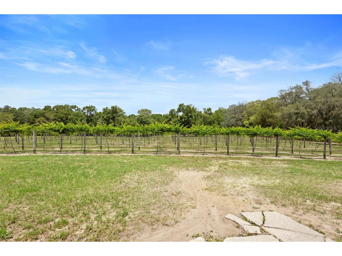 1056 Reynolds Road De Leon Springs FL 32130 V4942965 image51