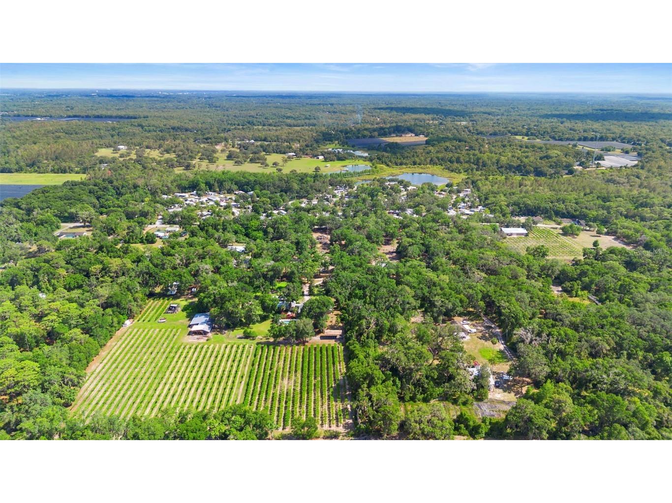 1056 Reynolds Road De Leon Springs FL 32130 V4942965 image53