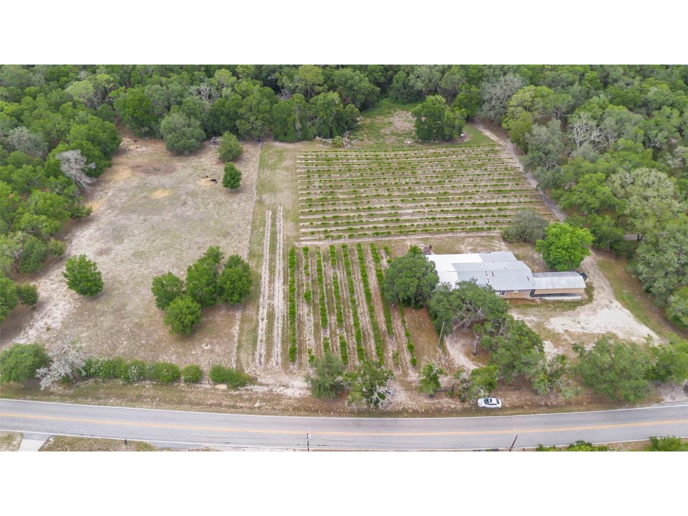 1056 Reynolds Road De Leon Springs FL 32130 V4942965 image58