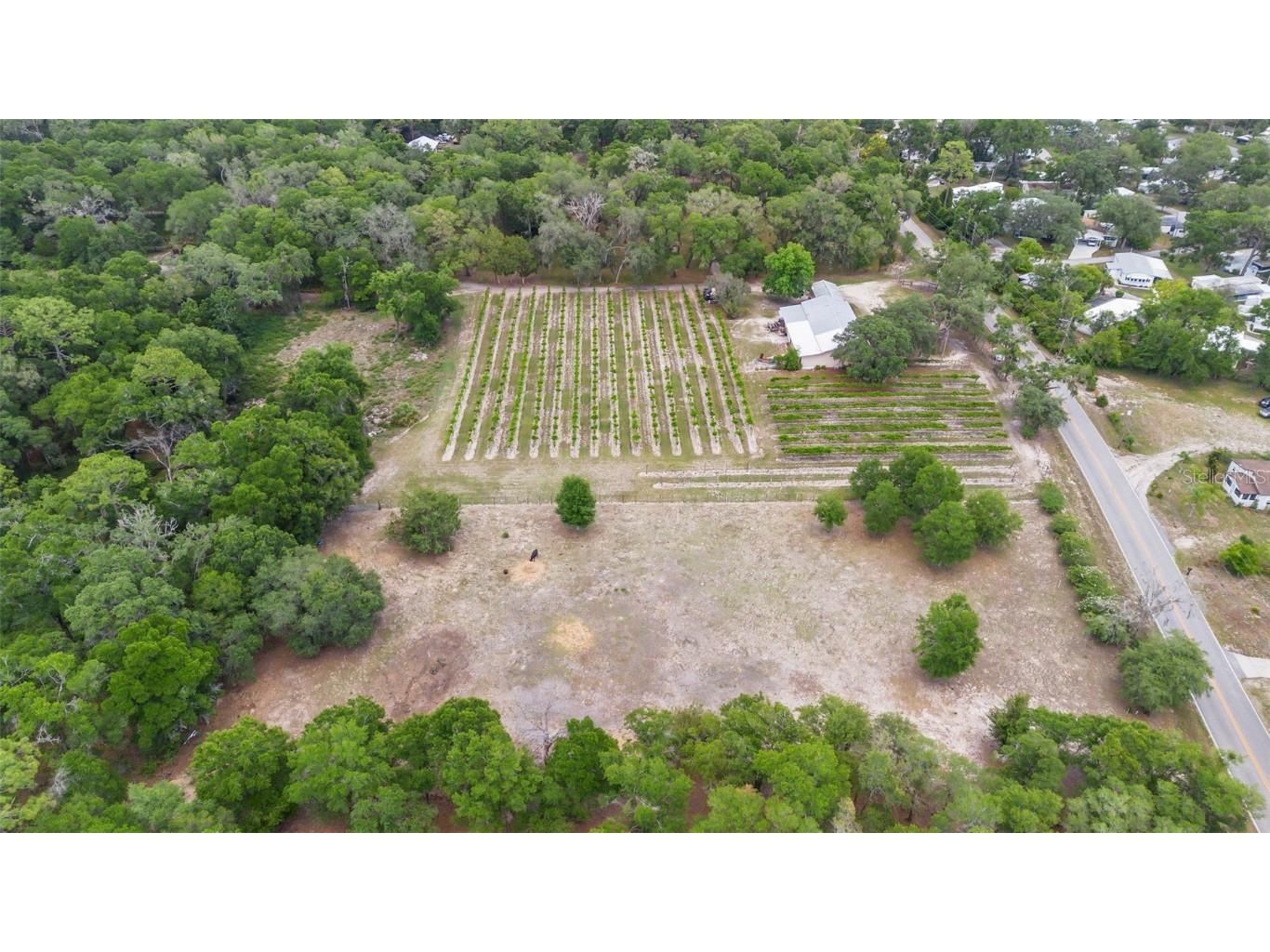 1056 Reynolds Road De Leon Springs FL 32130 V4942965 image59