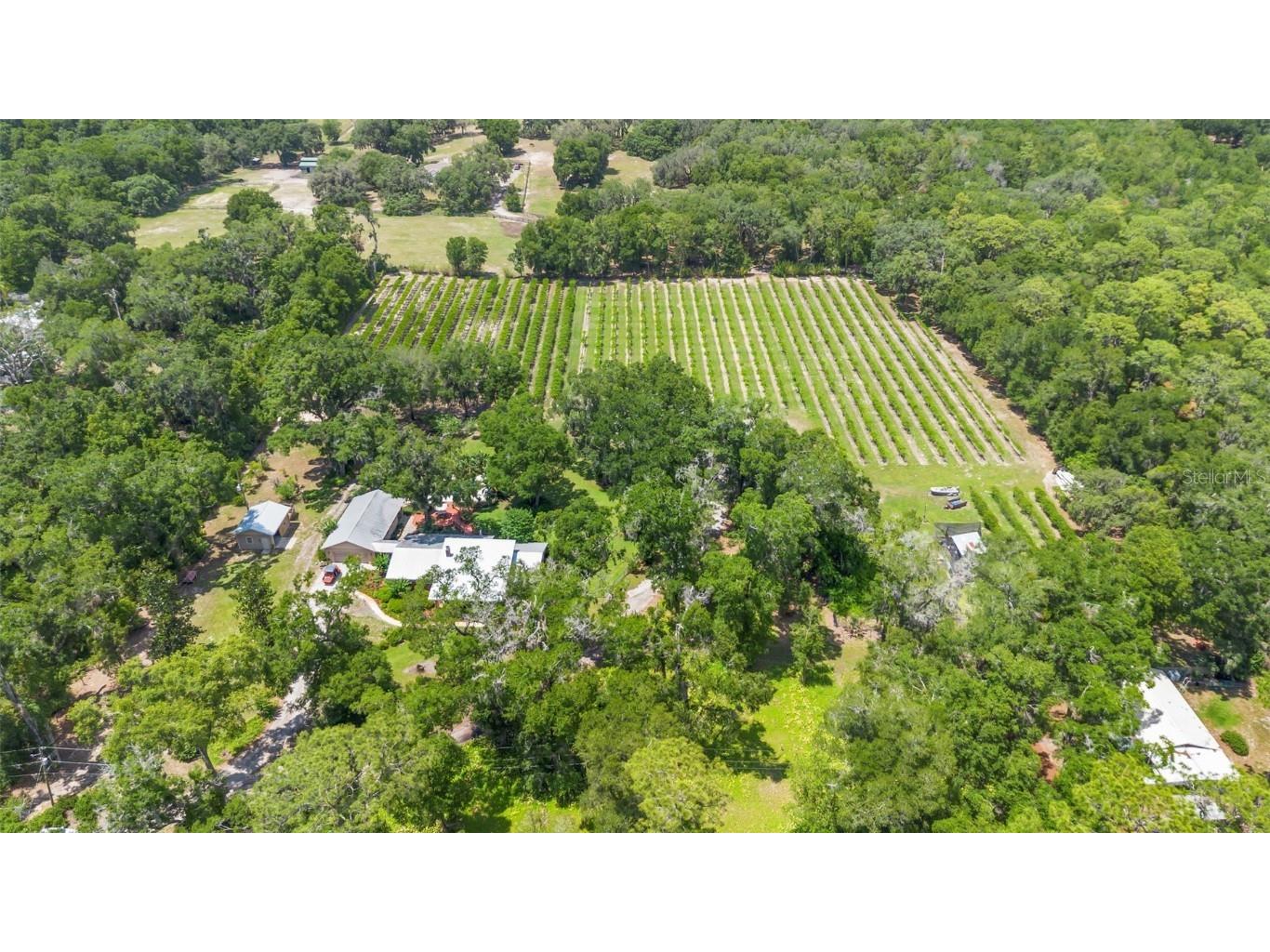 1056 Reynolds Road De Leon Springs FL 32130 V4942965 image73