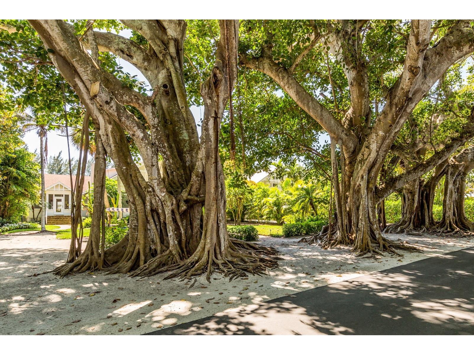 1056 Rotonda Circle Rotonda West FL 33947 TB8525900 image33