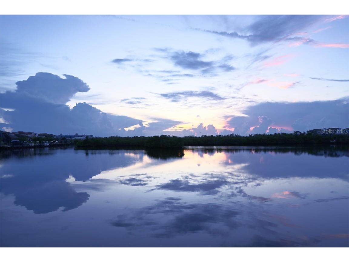 1056 Seagrape Drive Ruskin FL 33570 A4664491 image23