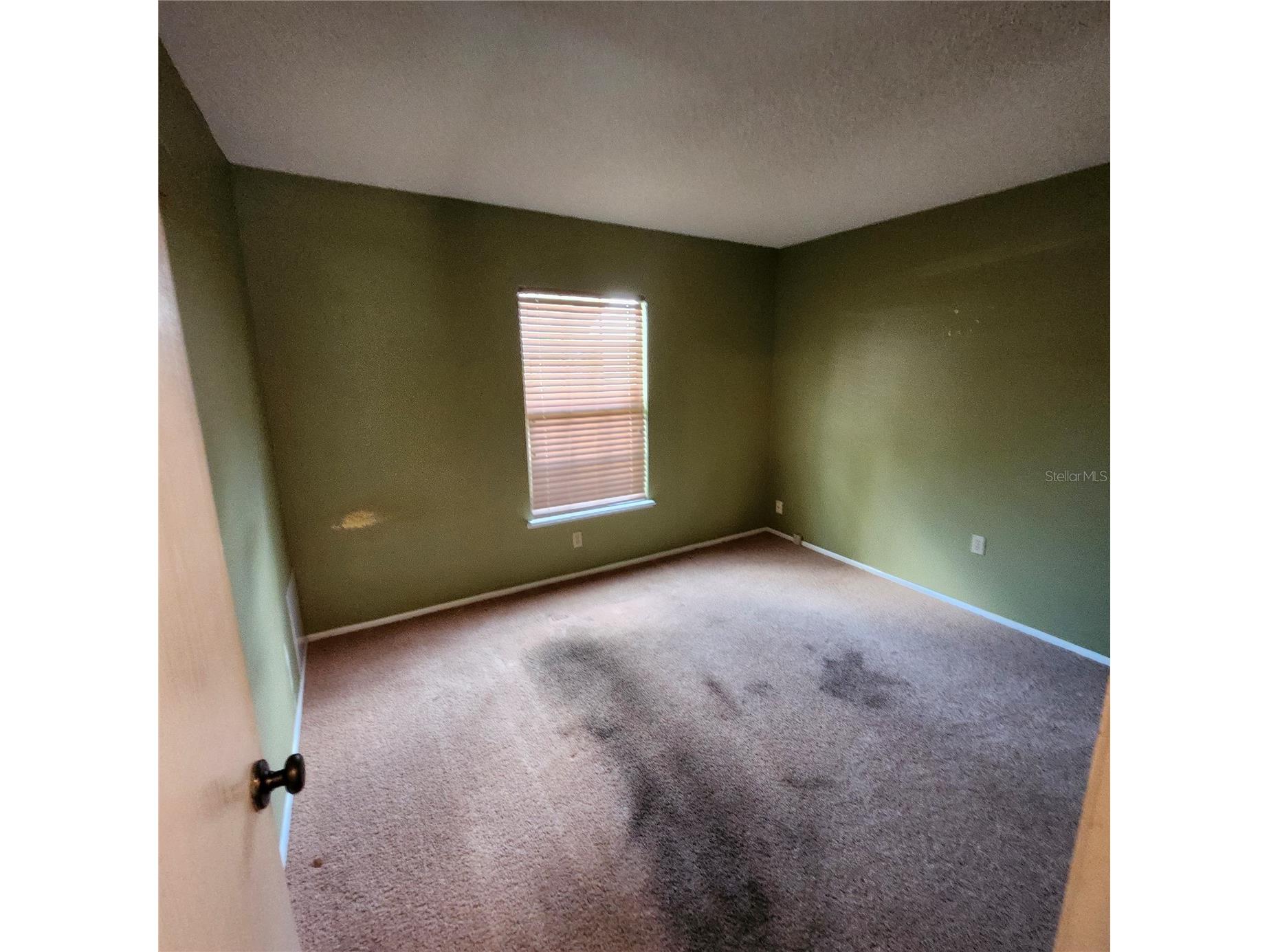 1056 Shady Hollow Drive Deland FL 32724 NS1088702 image39