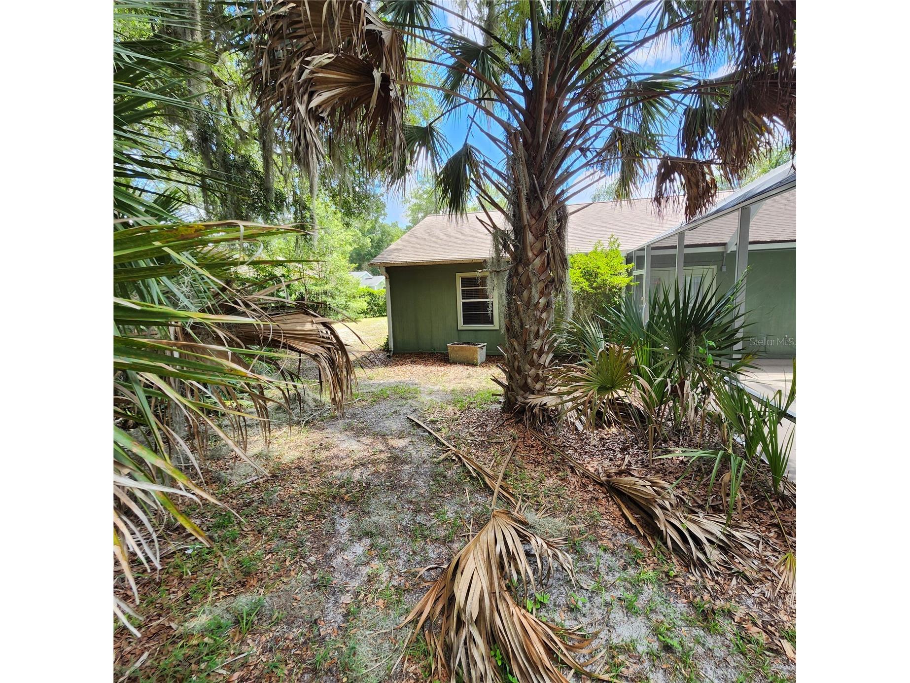 1056 Shady Hollow Drive Deland FL 32724 NS1088702 image6