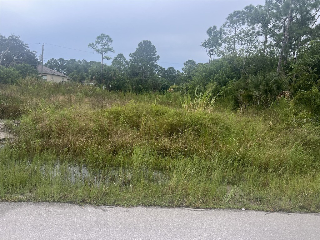 1056 Welco Street SE Palm Bay FL 32909 S5112865 image1