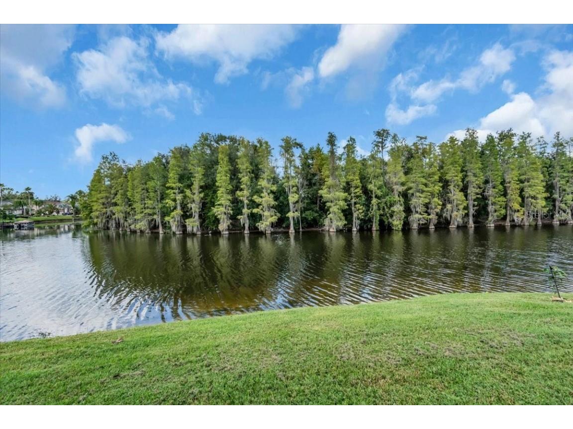 10561 Bermuda Isle Drive Tampa FL 33647 TB8434406 image26