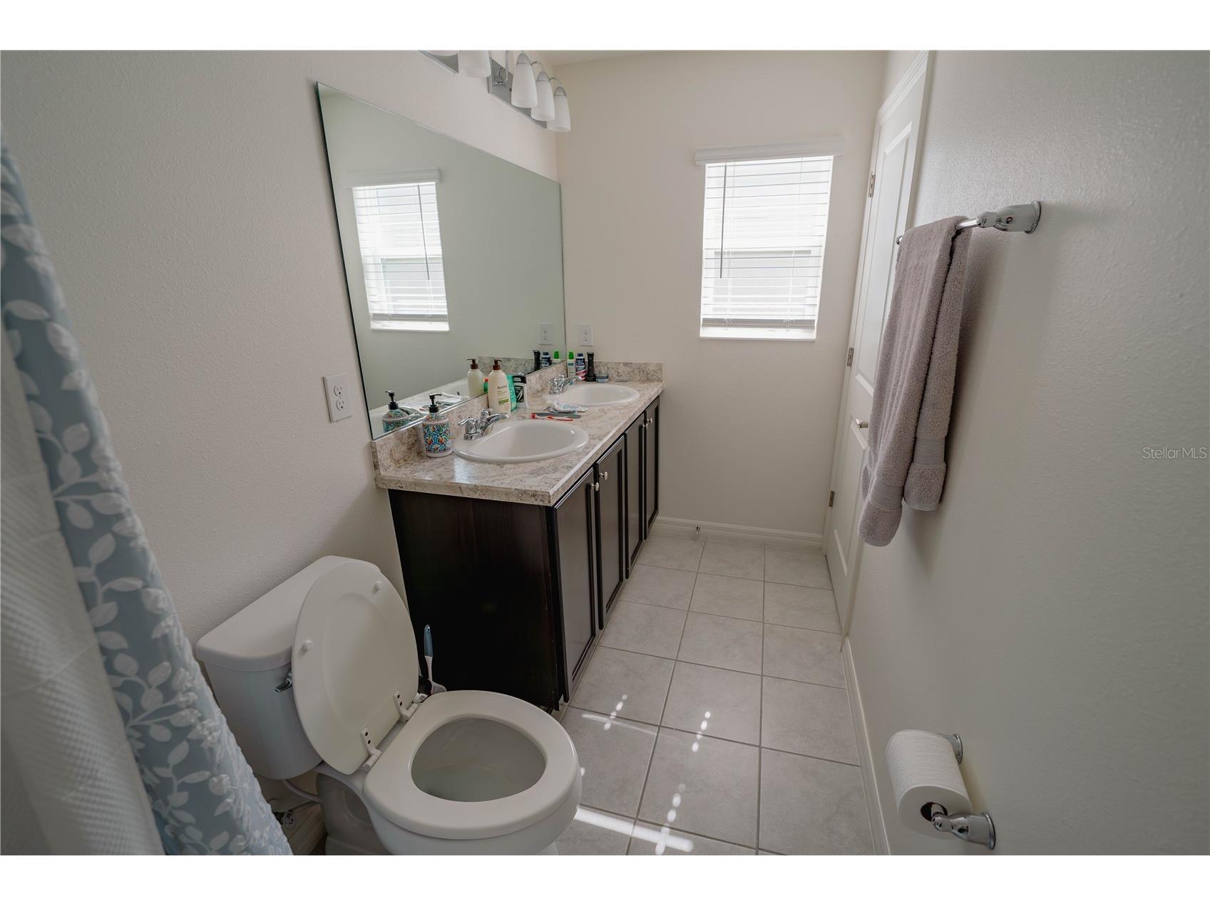 10561 Laguna Plains Drive Riverview FL 33578 TB8526314 image11