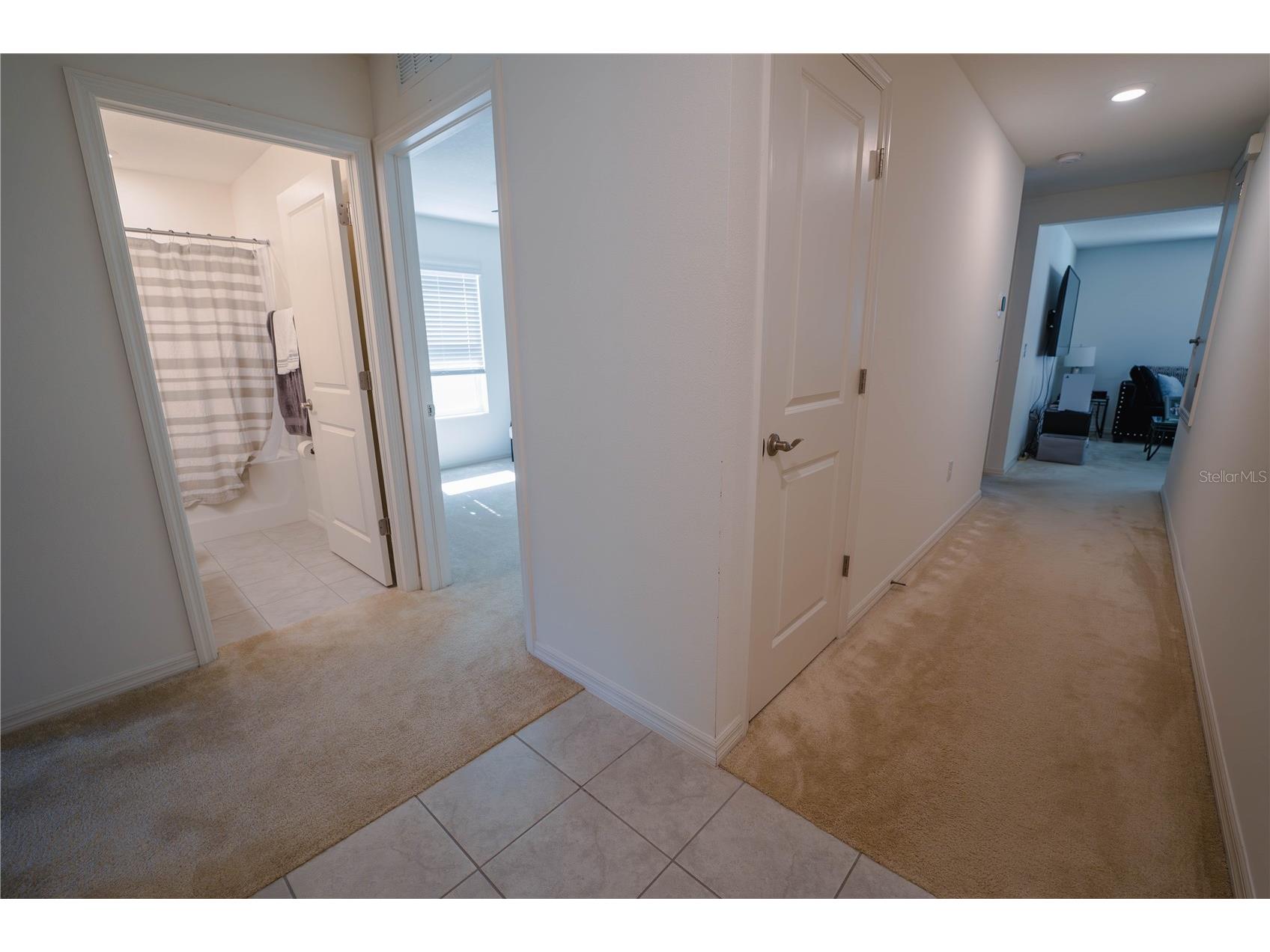 10561 Laguna Plains Drive Riverview FL 33578 TB8526314 image23