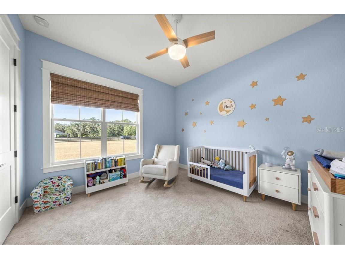 10561 NE 104th Circle Oxford FL 34484 OM714193 image29