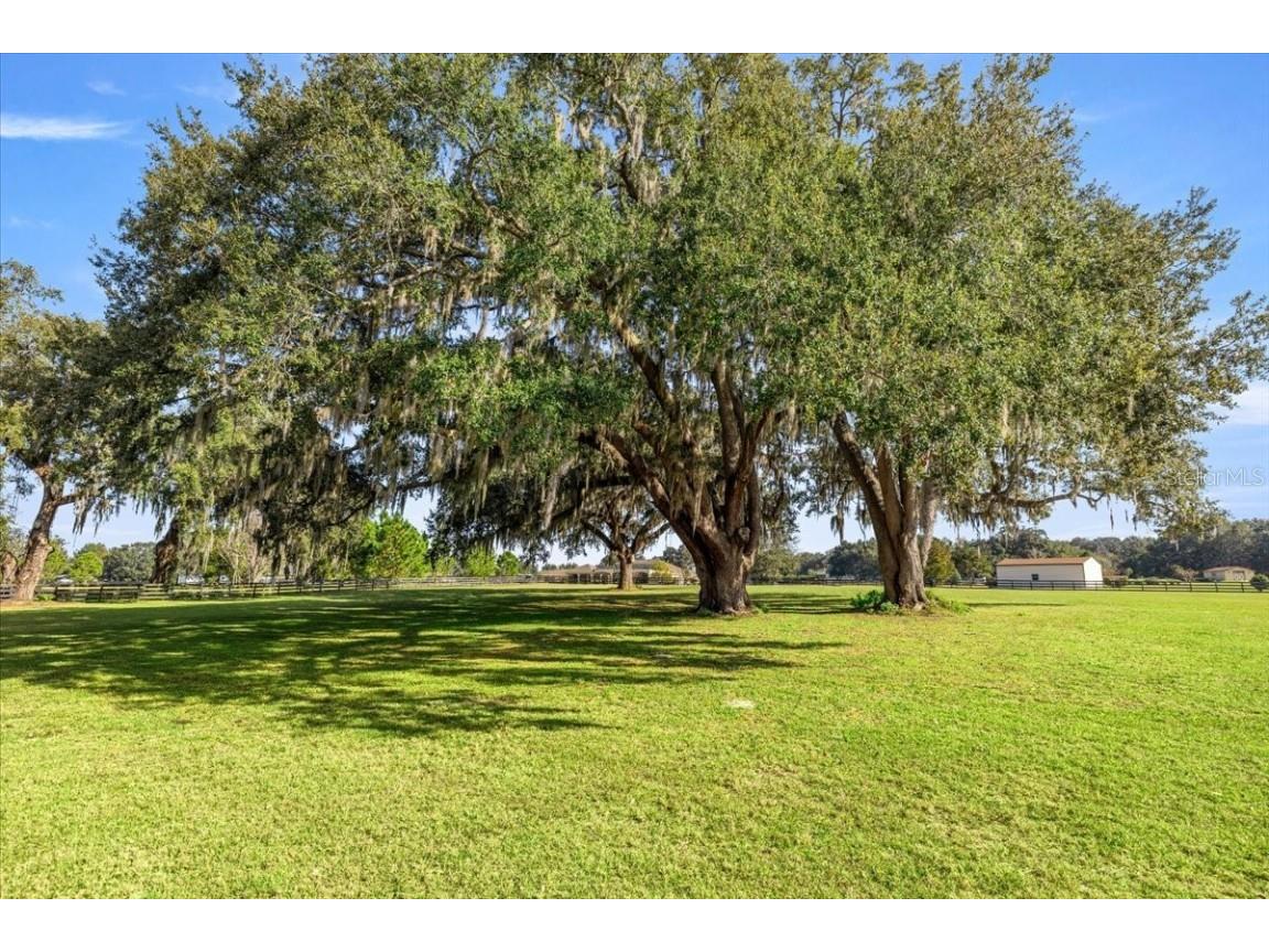 10561 NE 104th Circle Oxford FL 34484 OM714193 image54